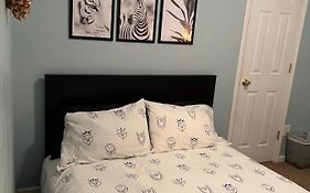 BlaBla Hostel Bunkbeds Room 3